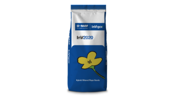   InV2020
